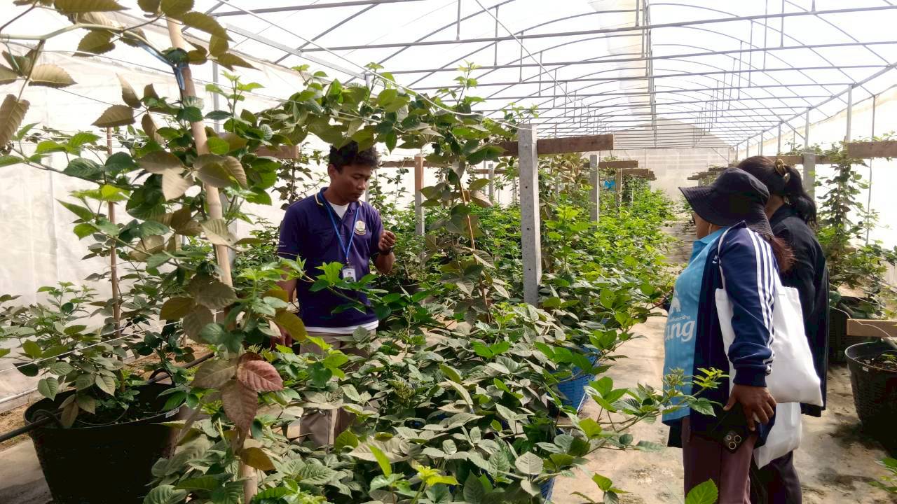 title - ส.ป.ก.บุรีรัมย์ ดำเนินการฝึกอบรมเชิงปฏิบัติการโครงการพัฒนาเกษตรกรปราดเปรื่องในเขตปฏิรูปที่ดิน (Smart Farmer) ปีงบประมาณ พ.ศ. 2569 ระหว่างวันที่ 25 - 27 ธันวาคม 2568